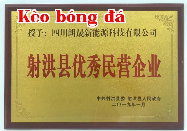 Doanh nghiệp tư nhân xuất sắc huyện Nhiễu Hà