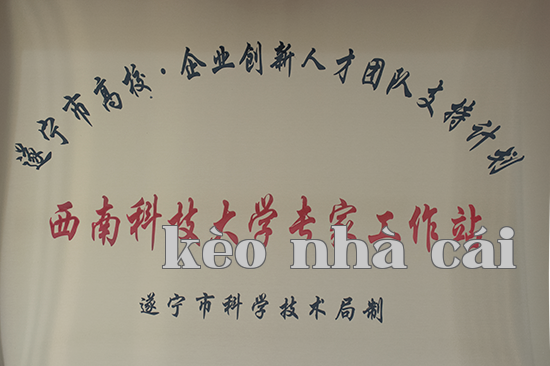 Trạm chuyên gia Đại học Tây Nam Khoa Học Kỹ Thuật