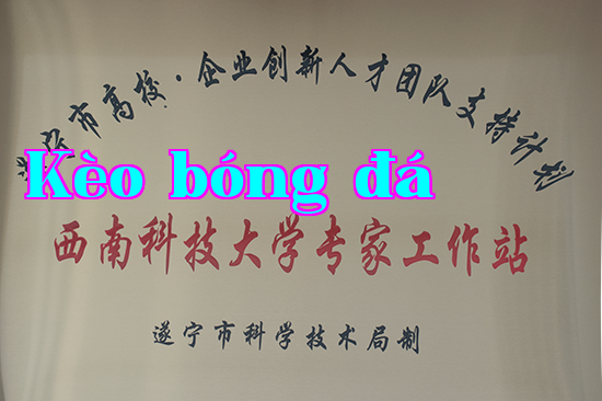 Trạm chuyên gia Đại học Tây Nam Khoa Học Kỹ Thuật
